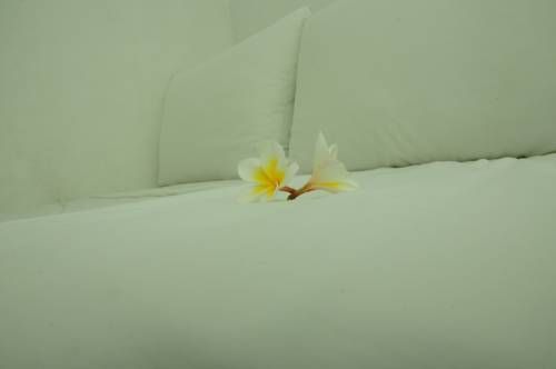 صورة الفندق 7