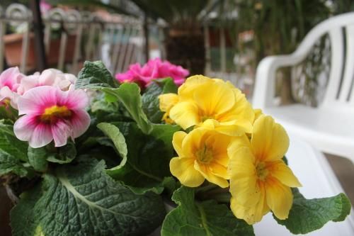 صورة الفندق 9