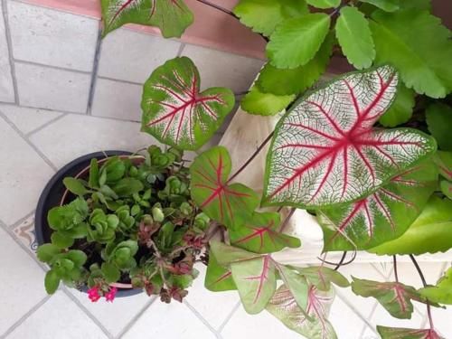 صورة الفندق 3