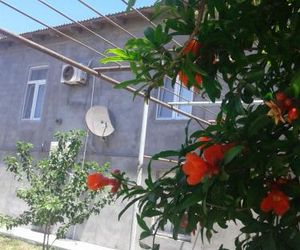 Rental house in village Bine Mardakjan Azerbaijan