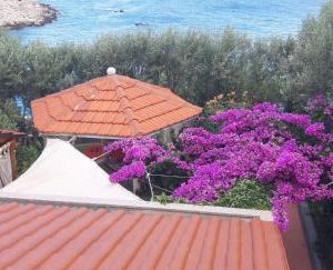 Apartments Luka Sevid Croatia