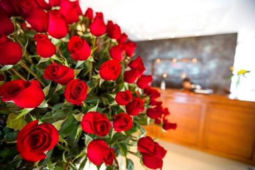 صورة الفندق 13