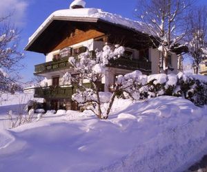 Ferienhaus Hirterhütte Abtenau Austria