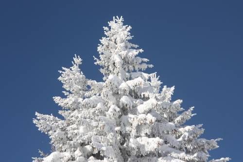 صورة الفندق 13