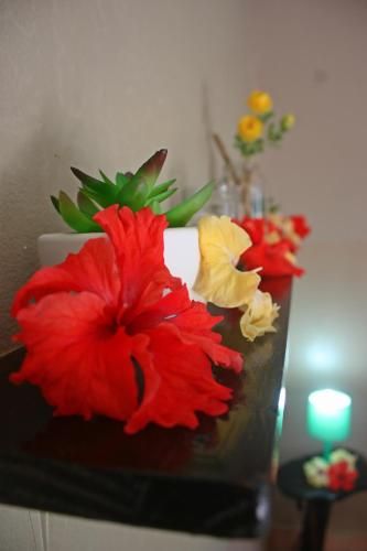 صورة الفندق 16