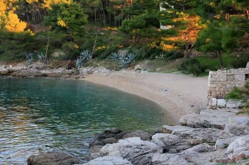 صورة الفندق 7