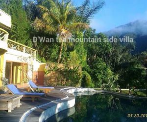Dwan Tea Mountain Side Munduk Indonesia