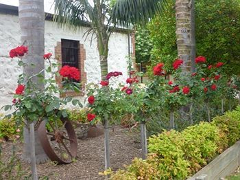 صورة الفندق 21