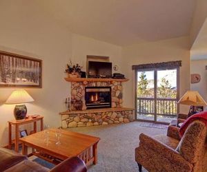 127 Lookout Ridge Townhouse Dillon United States