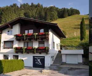 Ferienhaus Auschmiede Hollersbach Austria