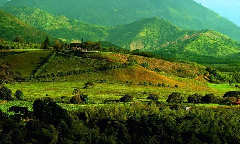 صورة الفندق 14