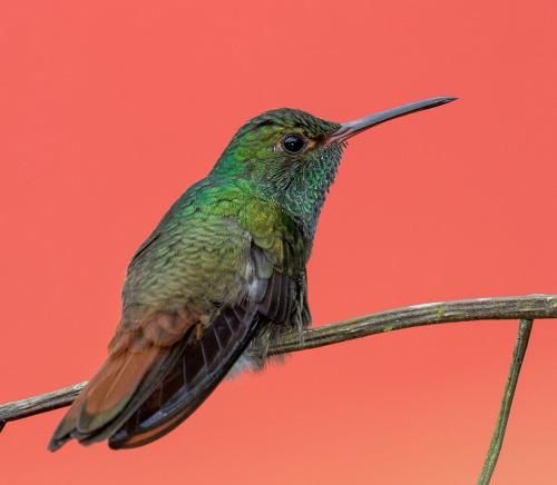 صورة الفندق 17