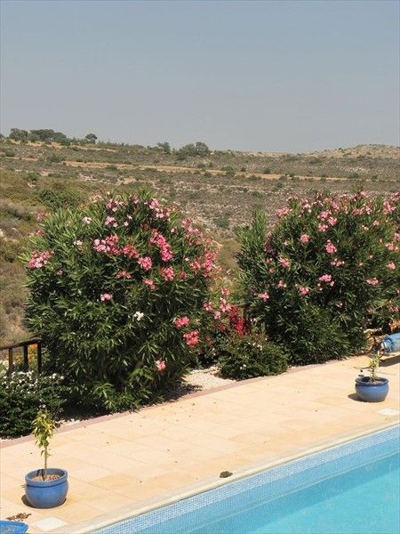صورة الفندق 5