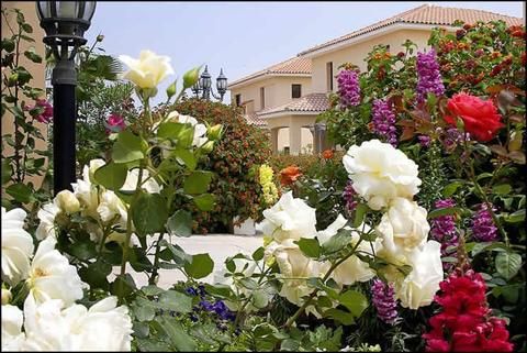 صورة الفندق 16
