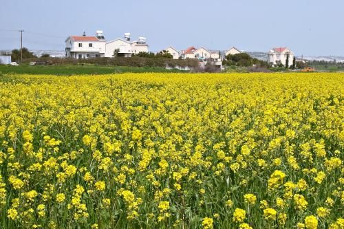 صورة الفندق 18