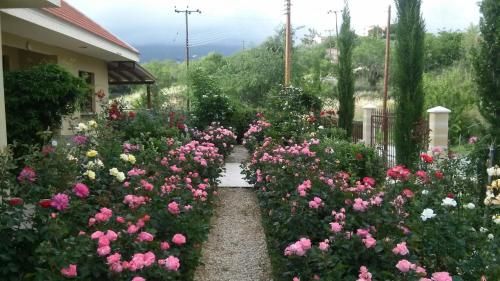صورة الفندق 16