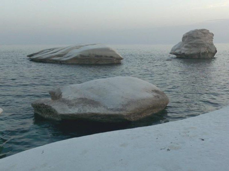 صورة الفندق 1