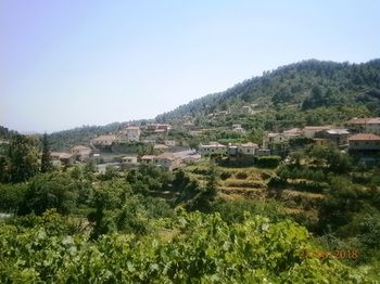 صورة الفندق 24