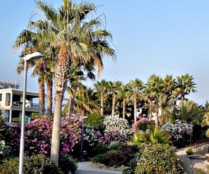 Rododafni Beach Apartments Chloraka Cyprus
