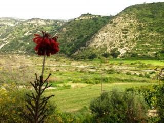 صورة الفندق 19