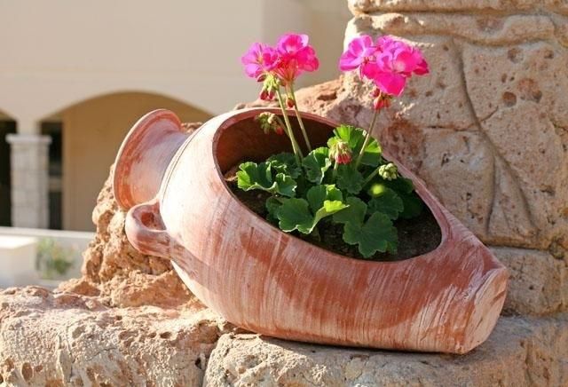 صورة الفندق 13