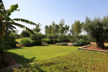 صورة الفندق 17