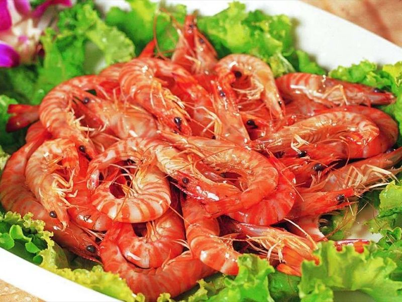 صورة الفندق 8