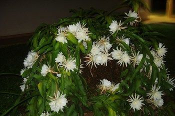 صورة الفندق 18