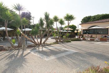 صورة الفندق 16