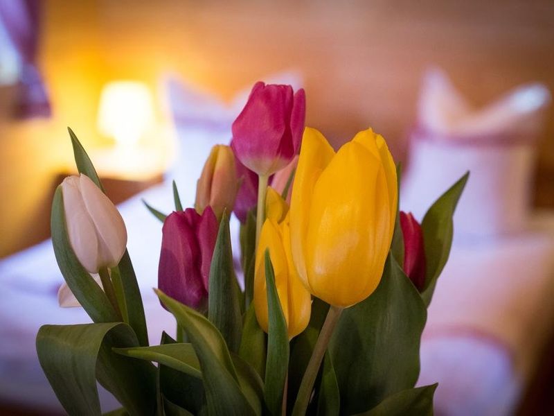 صورة الفندق 16