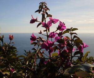 Detox Inn Roquebrune-Cap-Martin France