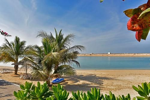 صورة الفندق 20