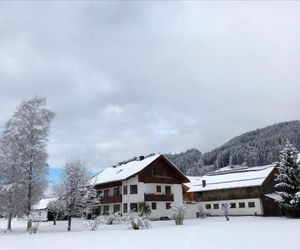 Hinkerhof Schladming Austria