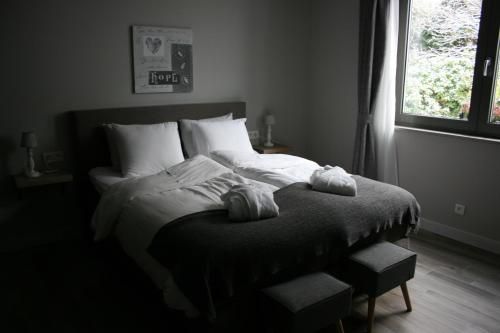 صورة الفندق 8