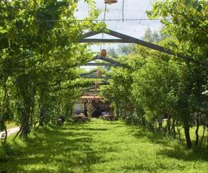 Hostería - Bodega Valle Divino Tarija Bolivia