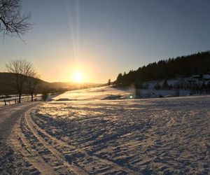 Ferienwohnung Vier Pfoten Willingen Germany