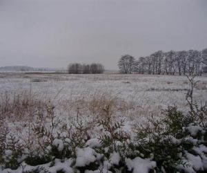 "Ferienwohnungen Wiesenblick" Trassenheide Germany