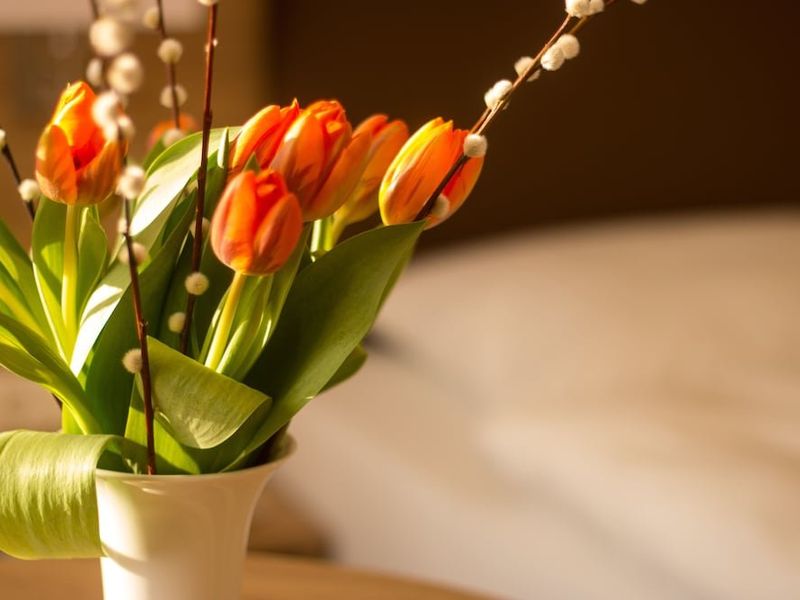 صورة الفندق 18