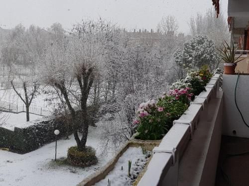 صورة الفندق 1