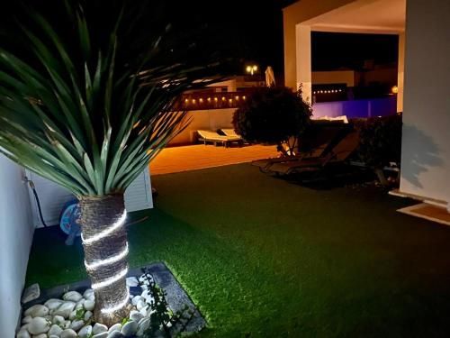 صورة الفندق 6