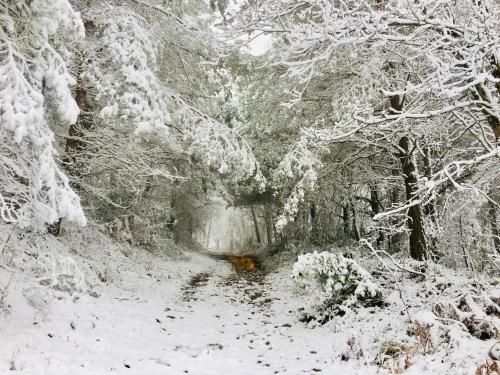 صورة الفندق 5