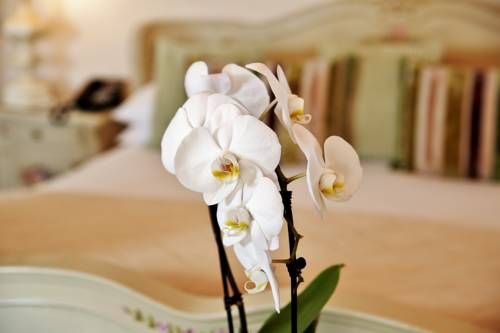 صورة الفندق 23