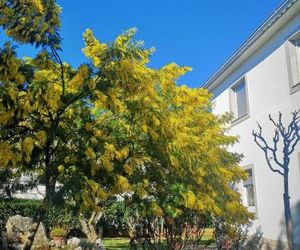 Apartments Marica Silo Croatia