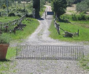 Noce Torta Sarteano Italy