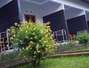 Anak Rinjani Guest House Senaru Indonesia