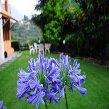 صورة الفندق 5