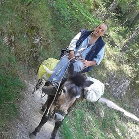 صورة الفندق 8