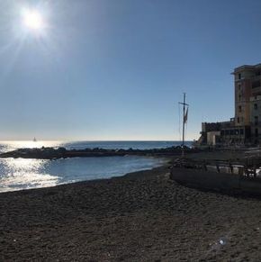 NearBy Hotel