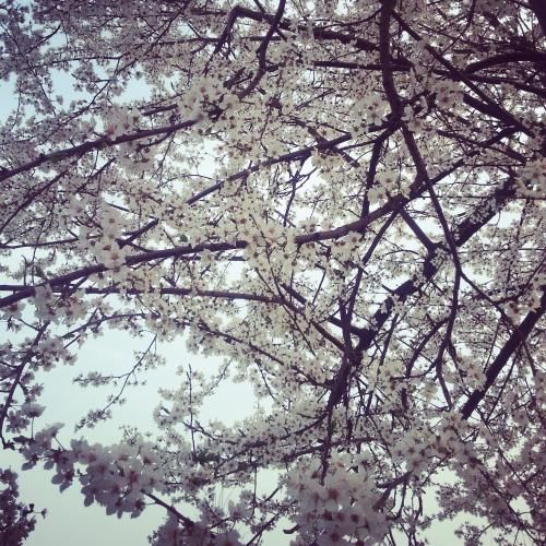 صورة الفندق 10