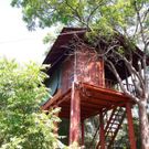 Фото отеля Dambulla Tree House